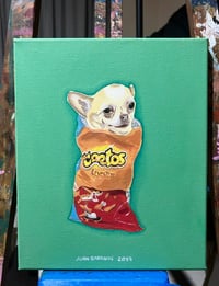 Can dogs eat cheetos?