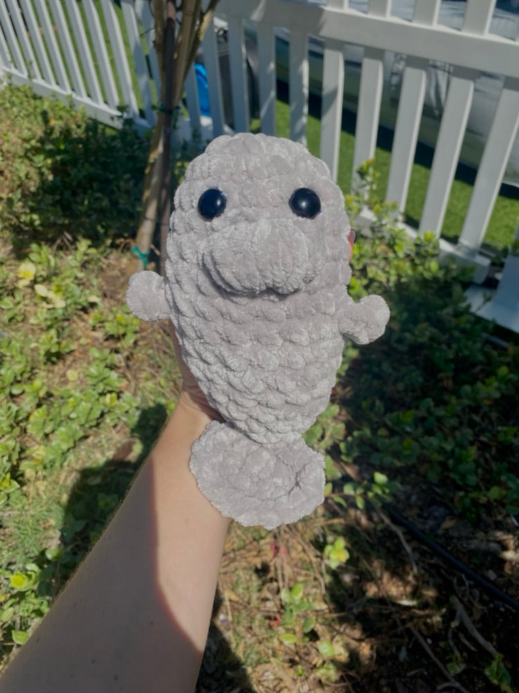 Image of Large Manatee