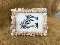 Image 4 of Seashell Picture Frame 3.5” x 5” - 5” x 7” # 2
