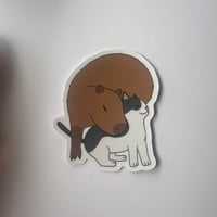capybara and cat sticker