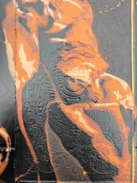 Image 5 of Amalia Cover Book