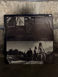 Image 4 of LP Down «Nola» ORIGINAL