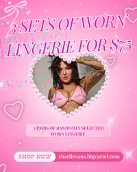 3 PAIRS OF WORN LINGERIE 