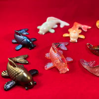 Image 1 of LITTLE KOI