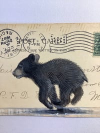 Image 2 of Bear cub on vintage postcard 