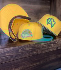 Image 1 of 1981 “L” Champions 