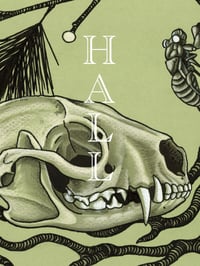 Image 5 of Serpent and the rainbow volume 1