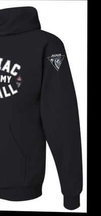 Image 5 of Zodiac Academy Pitball Apparel