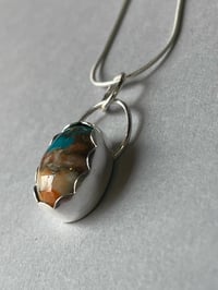 Image 13 of Oyster Turquoise 