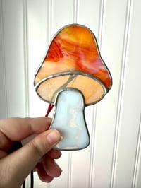 Image 3 of Opaque Mushrooms
