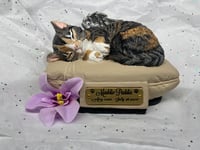 Image 2 of Custom Engraved Sleeping Cat Kitty On Pillow Urn Pet Memorial Portrait Angel Wings