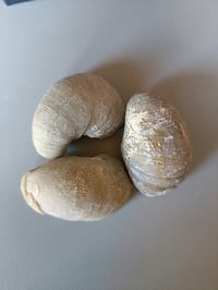 🔮 Devil’s Toe Nails 