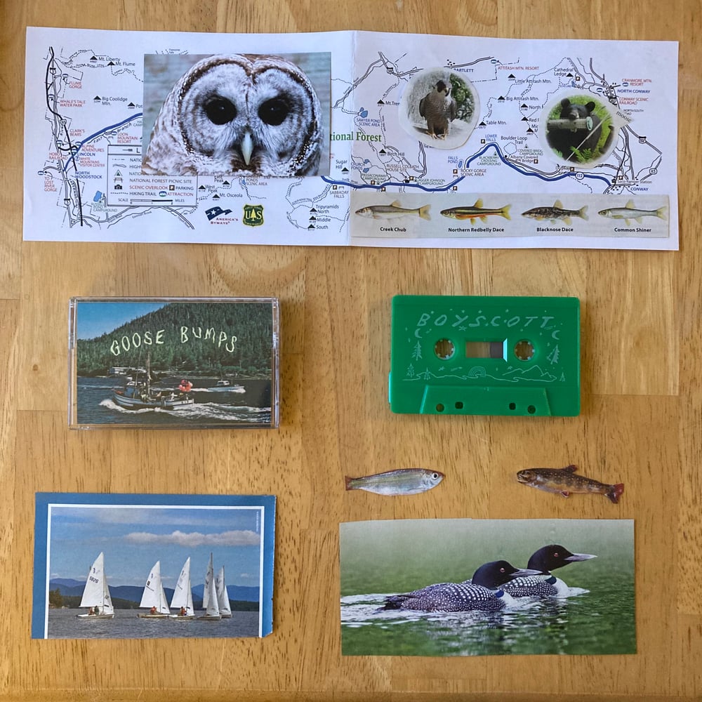 Image of βΎ Goose Bumps Tape