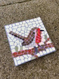 Image 3 of Robin Pseudo-Mosaic
