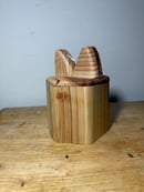 Image 3 of Natural cat lantern