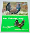 Capercaillie - No.11 Bird Pin Badge Group - Enamel Pin Badge