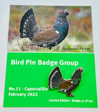 Image 1 of Capercaillie - No.11 - Bird Pin Badge Group Series 