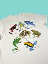 Image 1 of Tshirt RANE