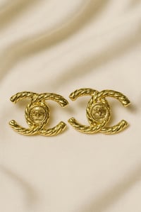 Fashion Earrings (style 14)