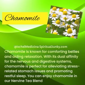 Image of Nervine Healing Set