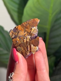 Image 4 of NATURAL RAINBOW IRIDESCENT CUBIC FLUORITE -CHINA- Q