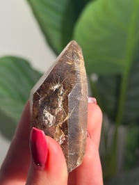 Image 4 of NATURAL RUTILE X GARDEN SMOKEY QUARTZ POINT -BRAZIL- A