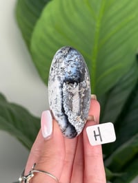 Image 8 of DENDRITIC OPAL SHIVAS