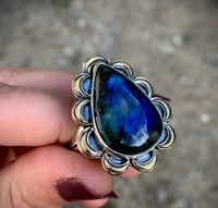 Image 4 of Labracadabra Ring- Fina Moon Silver Studio