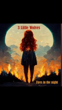 3 Little Wolves - Fires In The Night