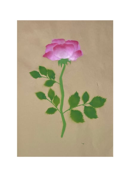 Image of Rose ‘Ulrich Brunner’ - 1 rose (4)