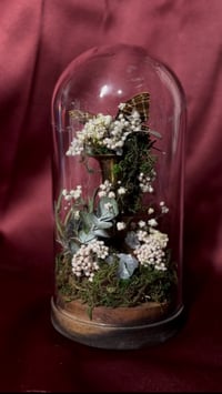 Image 3 of Crystal Quartz Dome
