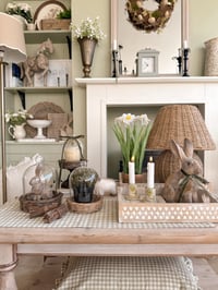 Image 8 of Wicker Cloches ( 3 Styles )