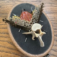 Image 3 of Vertebrae pumpkin beetle (a, 4x5 inches) 
