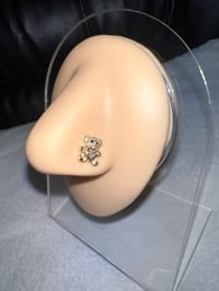 Teddy Nose Stud