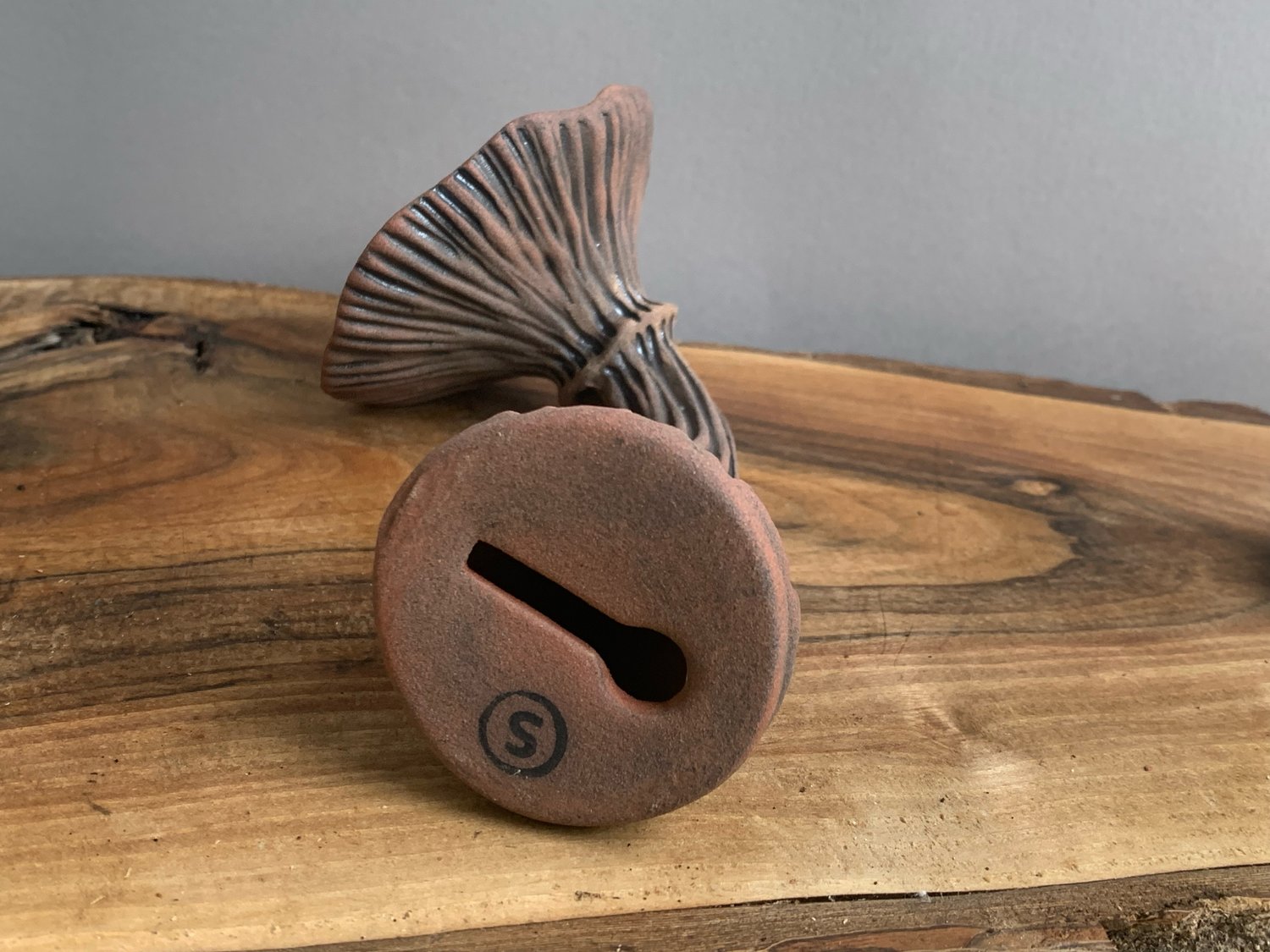 Image of Green Wall Mushroom 