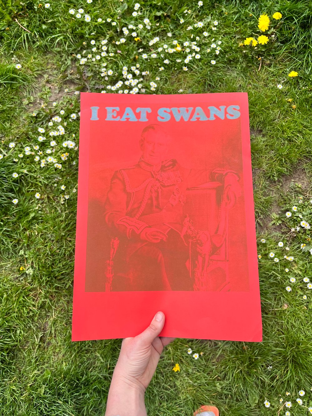 I eat swans poster 