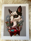 Tequila Terrier