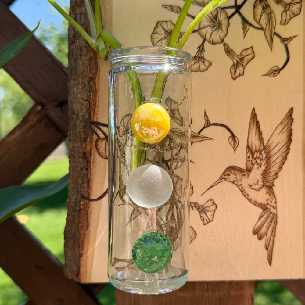 Image of hummingbird twins propogation station wood art