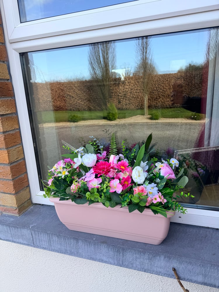 Image of Window Boxes 