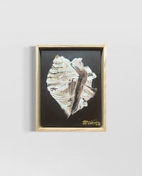 Image 1 of Conch Shell Treasure Original