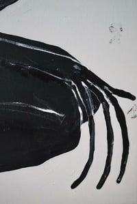 Image 2 of The extraction