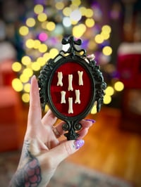 Image 1 of Framed Coyote Toe Bones