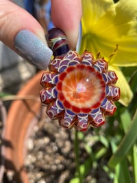 Image 1 of trillion vermillion 