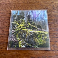 Nightmare Spirit - Summer Sleep (3" CD-R)