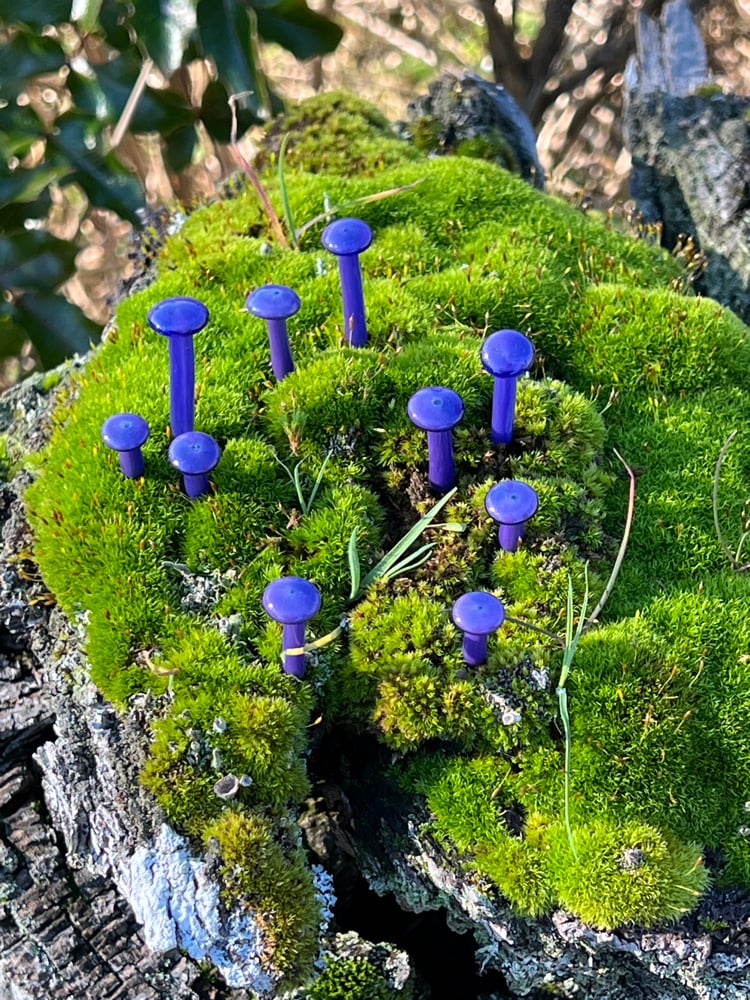 Image of 10 Purple Mushroom Plant Spikes