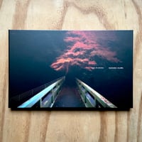 Image 1 of Yasuhiro Ogawa - Lost in Kyoto (Signed)