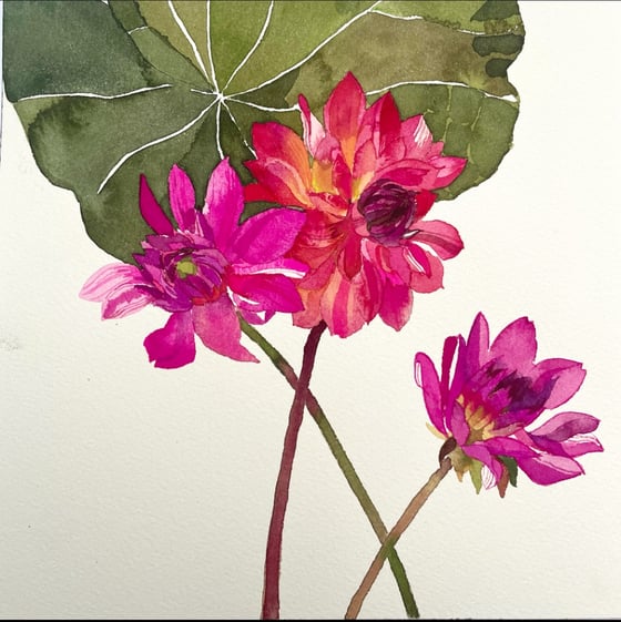 Image of Three dahlias original unframed watercolour and gouache painting 