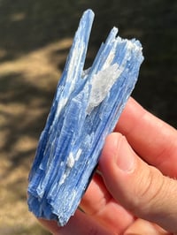Image 8 of Blue Kyanite & Quartz Specimen #2421