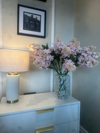 Image 1 of CONE HEADED HYDRANGEA SOFT PINK 