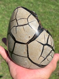 Image 11 of Septarian Nodule Polished Freeform | Madagascar #2897